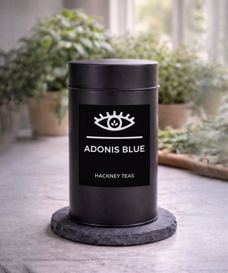 ADONIS BLUE